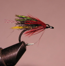���� ��������� Wet Aleksandra Variant Peacock  Kumho  KH 10099 � 6
